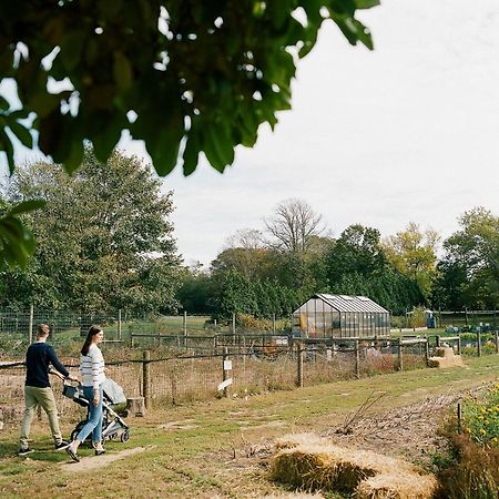 ホテル The Roundtree, アマガンセット エクステリア 写真