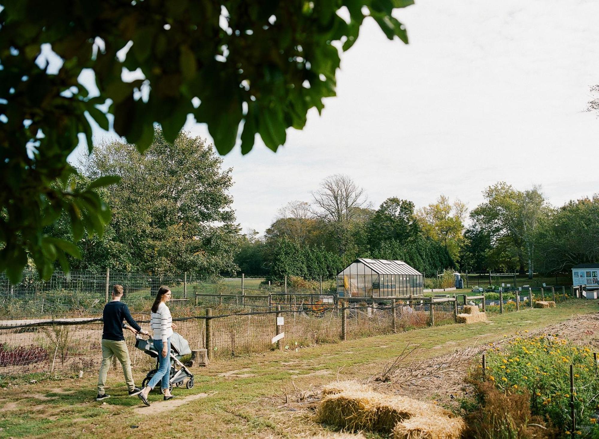 ホテル The Roundtree, アマガンセット エクステリア 写真